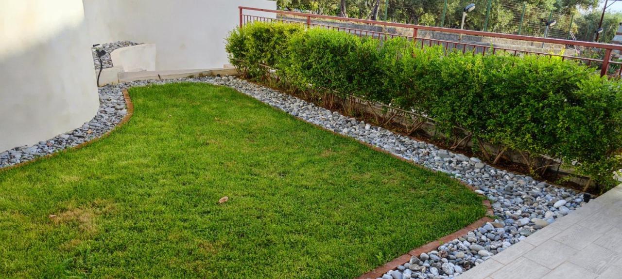 Go Island Bed & Breakfast Praia a Mare Exterior photo